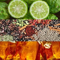 Obsession Eau de Parfum pour femme