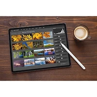 Stylet iOS sans fil Targus