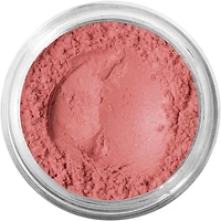 Loose Powder Blush