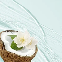 Shampooing Classics Hydrater eau de coco et jasmin