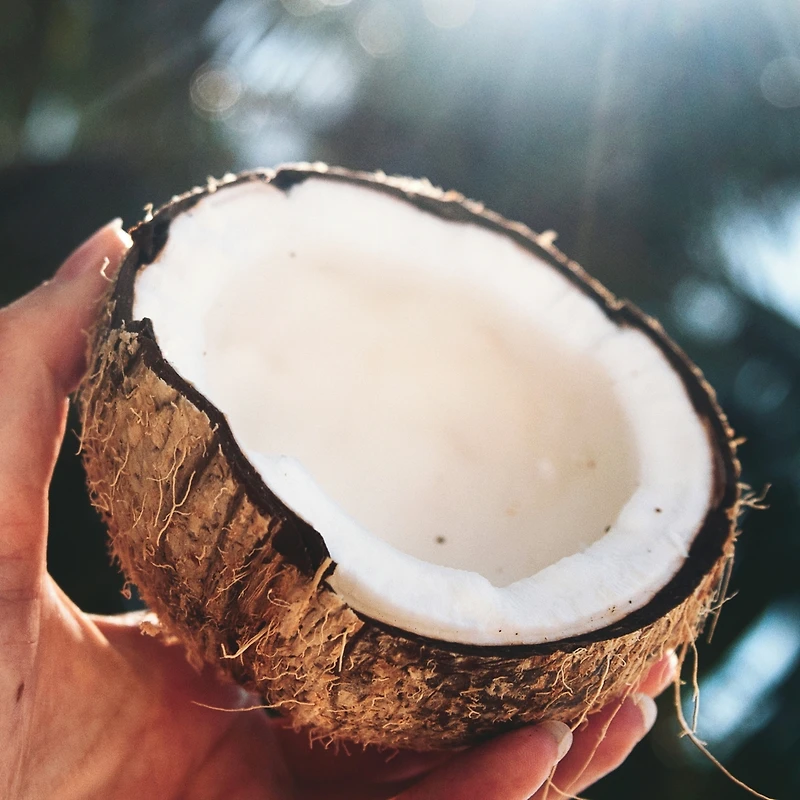 Revitalisant Classics Hydrate, eau de noix de coco et jasmin