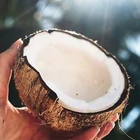 Revitalisant Classics Hydrate, eau de noix de coco et jasmin