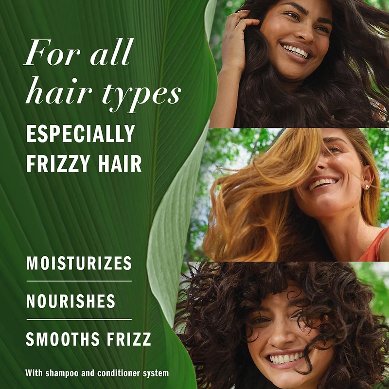 Jojoba Oil Sulfate Free Shampoo, Made for Air Drying, Smoothing,  400 mL, with Certified Camellia Oil and Aloe Vera, For All Hair Types, Especially Frizzy Hair