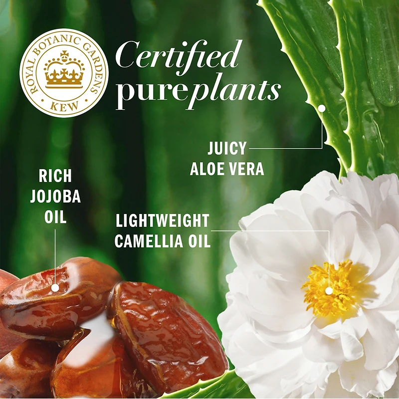 Jojoba Oil Sulfate Free Shampoo, Made for Air Drying, Smoothing,  400 mL, with Certified Camellia Oil and Aloe Vera, For All Hair Types, Especially Frizzy Hair