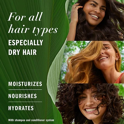 Shampooing sans sulfate au miel hydratation quotidienne Herbal Essences, nourrit les cheveux secs, avec huile de camélia et aloès certifiés, pour tous les types de cheveux, particulièrement les cheveux secs, 400 mL