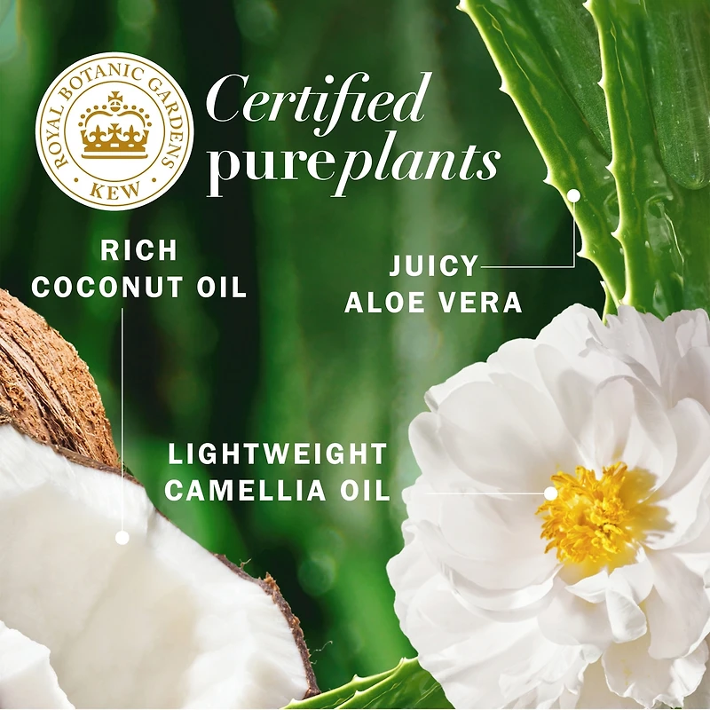 Coconut Oil Hydrating Conditioner, 400 mL, with Certified Camellia Oil and Aloe Vera, For All Hair Types, Especially Dry Hair