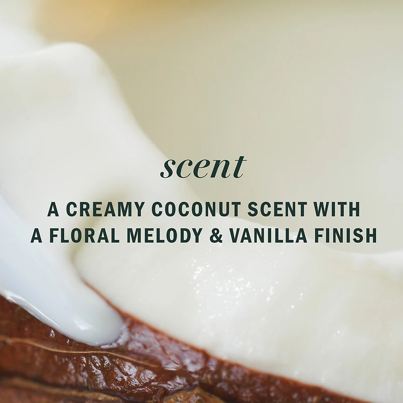 Coconut Oil Hydrating Conditioner, 400 mL, with Certified Camellia Oil and Aloe Vera, For All Hair Types, Especially Dry Hair