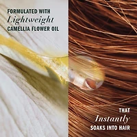 Coconut Oil Hydrating Conditioner, 400 mL, with Certified Camellia Oil and Aloe Vera, For All Hair Types, Especially Dry Hair