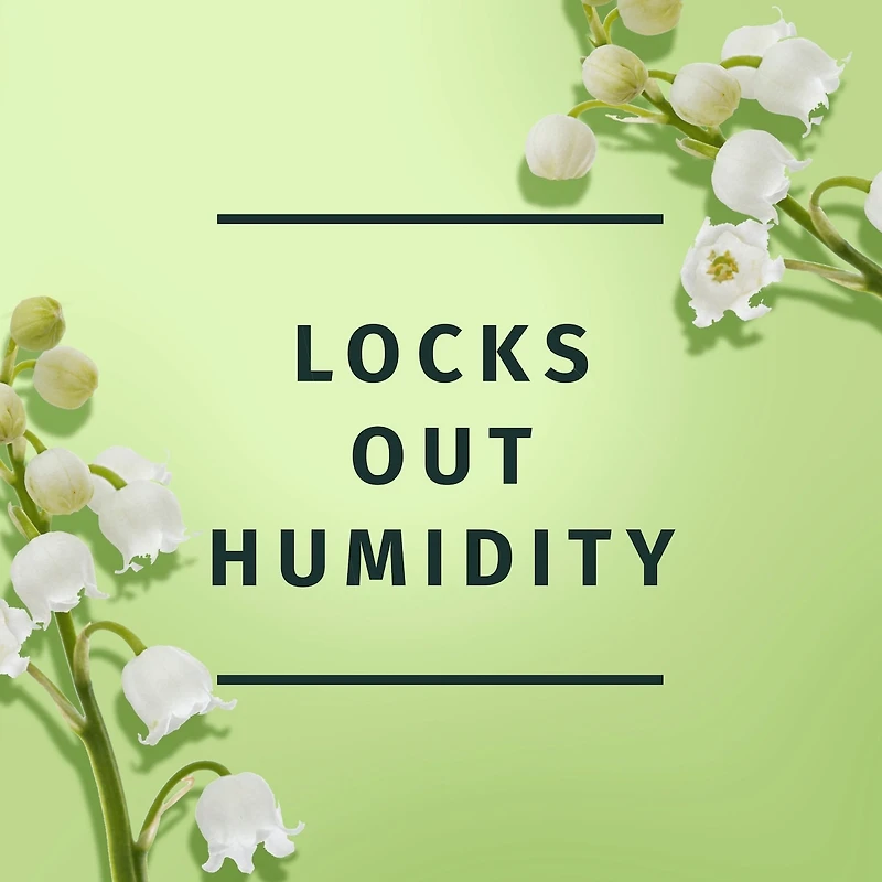 Bold Hold Hairspray, Hair Spray for All Hair Types, 24-hour Hold