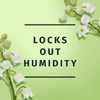 Bold Hold Hairspray, Hair Spray for All Hair Types, 24-hour Hold