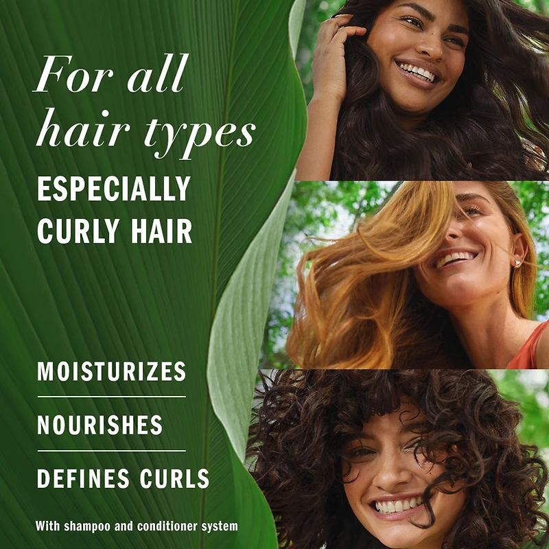 Apricot Oil Sulfate Free Shampoo, Defines Curls, with Certified Camellia Oil and Aloe Vera, For All Hair Types, Especially Curly Hair