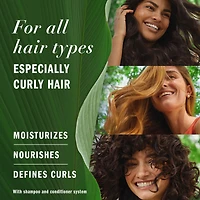 Apricot Oil Sulfate Free Shampoo, Defines Curls, with Certified Camellia Oil and Aloe Vera, For All Hair Types, Especially Curly Hair