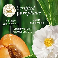 Apricot Oil Sulfate Free Shampoo, Defines Curls, with Certified Camellia Oil and Aloe Vera, For All Hair Types, Especially Curly Hair