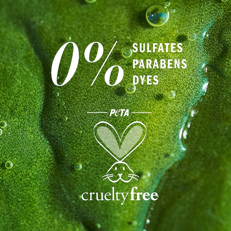 Apricot Oil Sulfate Free Shampoo, Defines Curls, with Certified Camellia Oil and Aloe Vera, For All Hair Types, Especially Curly Hair