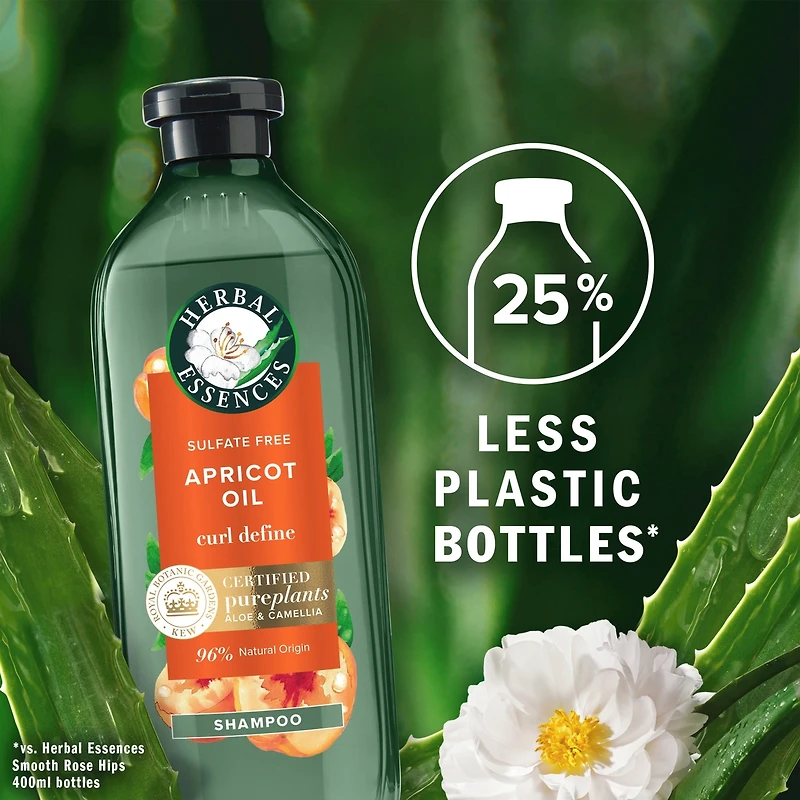 Apricot Oil Sulfate Free Shampoo, Defines Curls, with Certified Camellia Oil and Aloe Vera, For All Hair Types, Especially Curly Hair