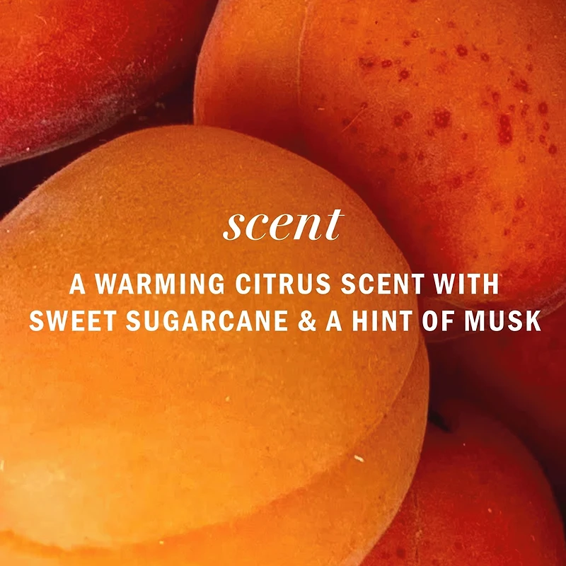 Apricot Oil Sulfate Free Shampoo, Defines Curls, with Certified Camellia Oil and Aloe Vera, For All Hair Types, Especially Curly Hair