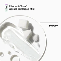 Great Skin Everywhere Skincare Gift Set for Dry Combination Skin