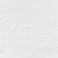 Spray fixateur de maquillage Set The Day™