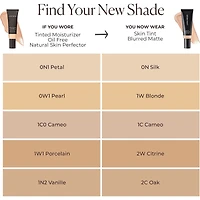 Skin Tint Natural Dewy