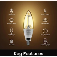 Lot de 2 ampoules LED intelligentes LUX Edision B11