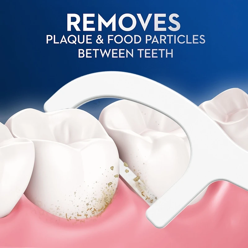 Burst of Dental Floss Picks, Fresh Mint, 30 ct