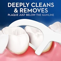 Burst of Dental Floss Picks, Fresh Mint, 30 ct