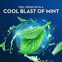 Burst of Dental Floss Picks, Fresh Mint, 30 ct