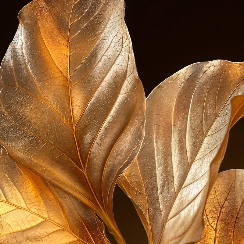 Nina Ricci Venus Eau de Parfum 50ml