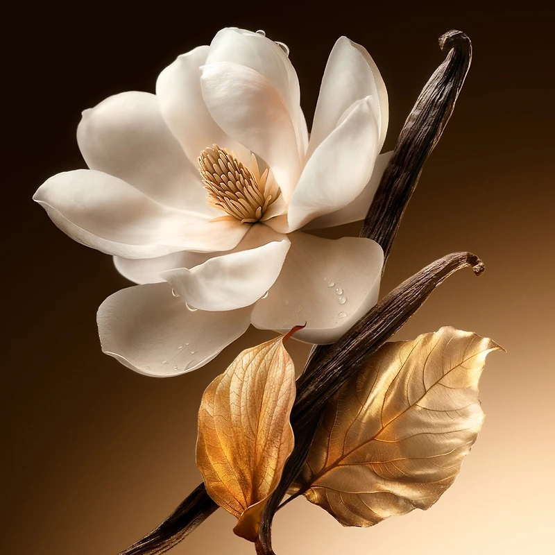 Nina Ricci Venus Eau de Parfum 50ml