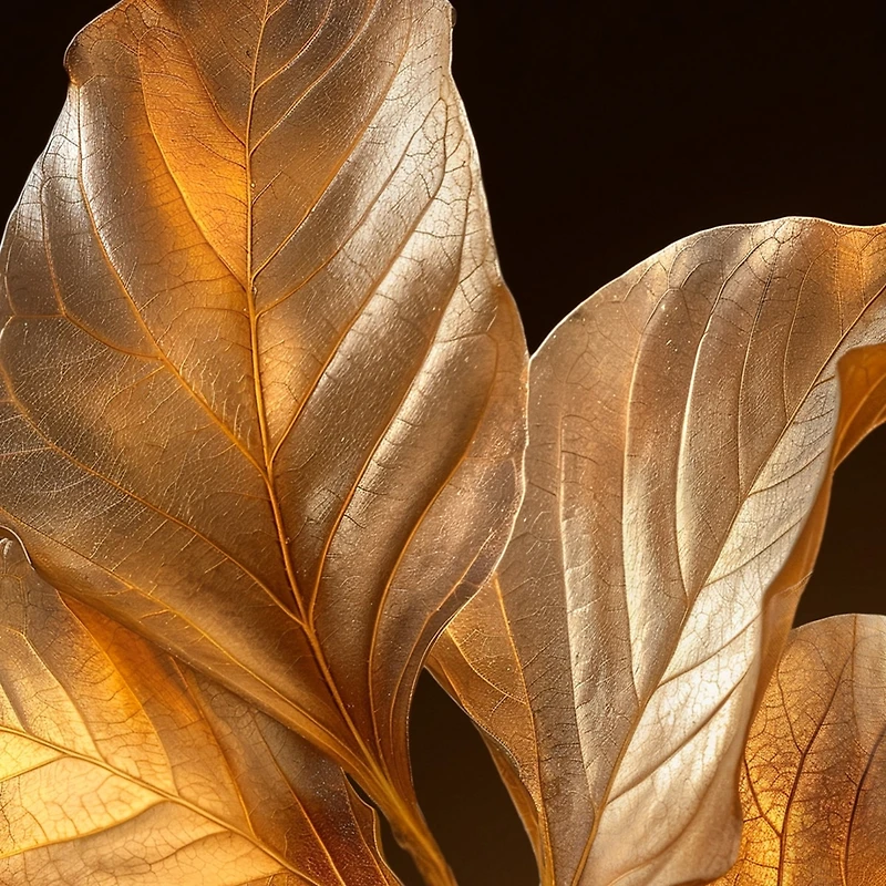 Nina Ricci Venus Eau de Parfum 50ml