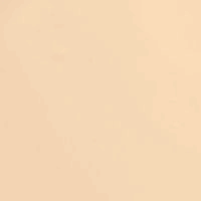 Ultra Le Teint Cushion - Refill Longwear Touch Foundation Hydration Flawless Finish