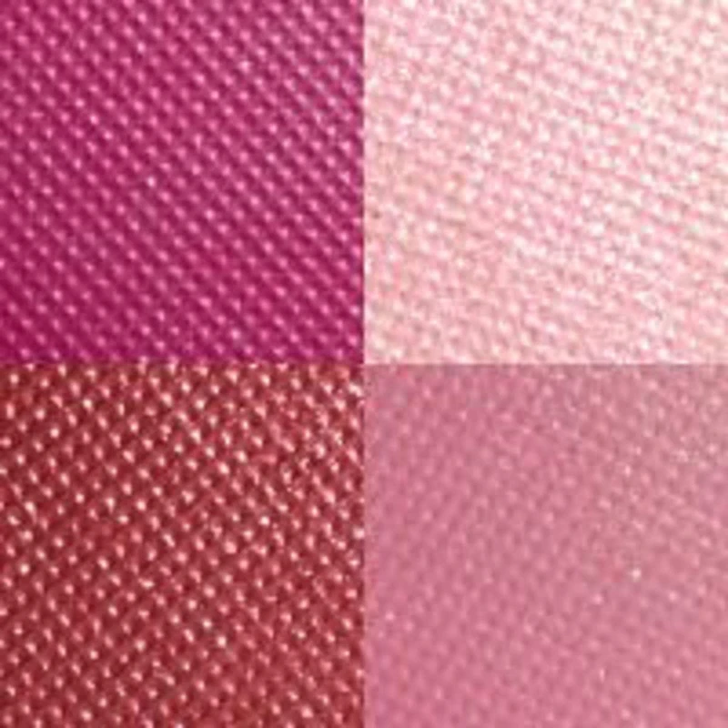 ROUGE NOIR CONFIDENCE OMBRES À PAUPIÈRES ET FARDS À JOUES