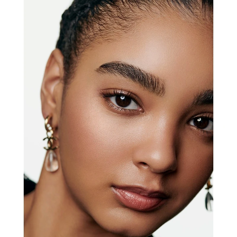 Les Signes De Chanel Illuminating Powder Blush