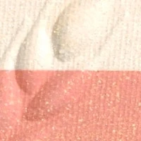 Les Signes De Chanel Fard À Joues Poudre Illuminatrice