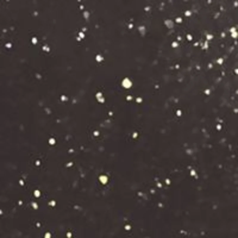 Le Vernis Couleur Et Brillance Longue Tenue