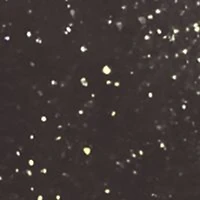 Le Vernis Couleur Et Brillance Longue Tenue