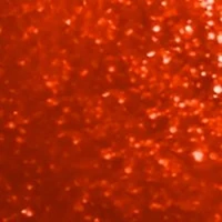 Le Vernis Longwear Nail Colour