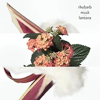 Eau de rhubarbe écarlate, Hand and body cleansing Gel