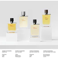 Terre d’Hermès Eau Givrée, Eau de Parfum Refill