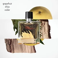 Terre d'Hermès