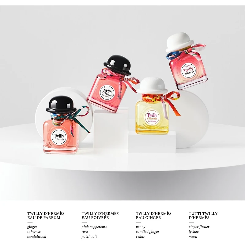 Tutti Twilly d'Hermès