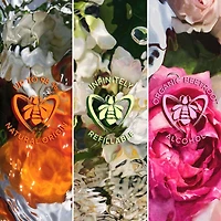 Aqua Allegoria Orange Soleia Eau de Toilette