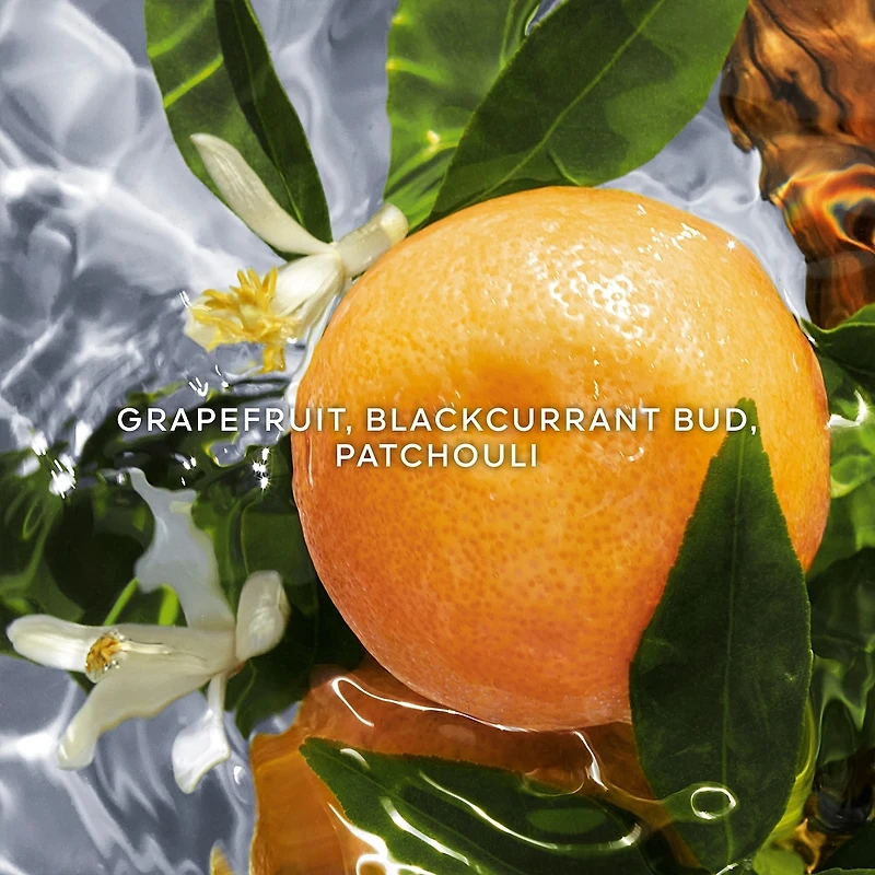 Aqua Allegoria Pamplelune Eau de Toilette