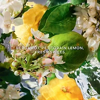 Aqua Allegoria Bergamote Calabria Eau de Toilette La Recharge