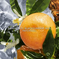 Aqua Allegoria Pamplelune Eau de Toilette La Recharge