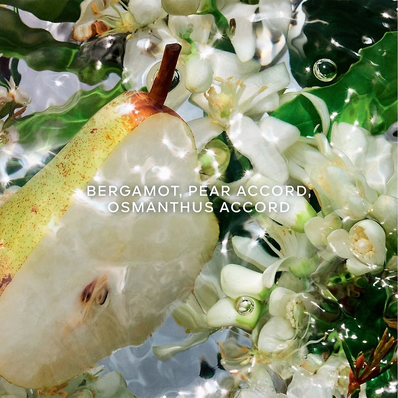 Aqua Allegoria Pera Granita Eau de Toilette La Recharge