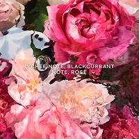 Aqua Allegoria Rosa Rossa Eau de Toilette La Recharge