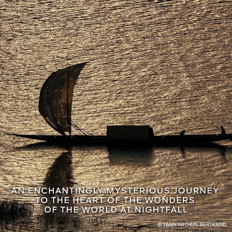 Absolus Allegoria Rose Amira Eau de Parfum