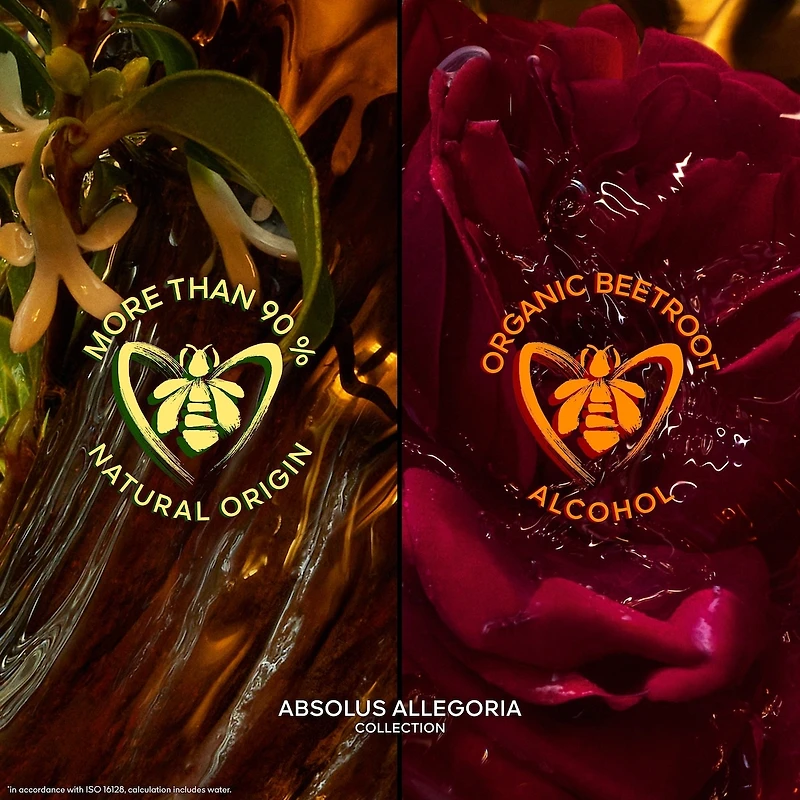 Absolus Allegoria Santal Royal Eau de Parfum