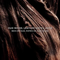 Absolus Allegoria Oud Essentiel  Eau de Parfum